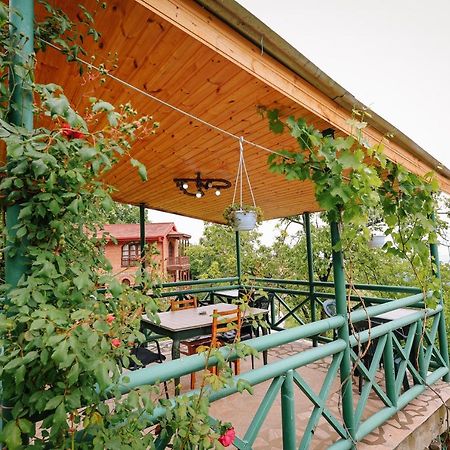Guest House Evdoshvili St N5 Sighnaghi Eksteriør bilde